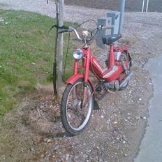 Veteraner Bonnie Solgt