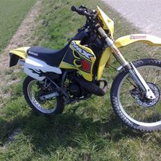Suzuki Rmx (SOLGT)