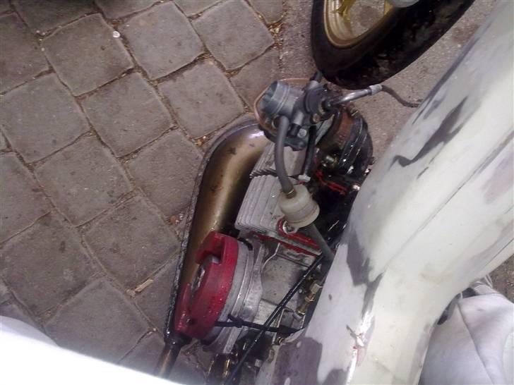 Puch Maxi Projekt 09 - ,,,, billede 4