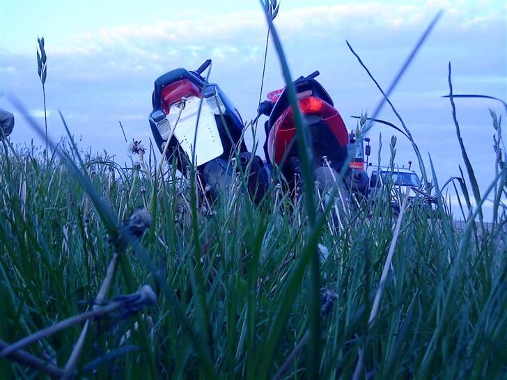 Yamaha jog r SOLGT - hvilken røv er bedst? billede 12