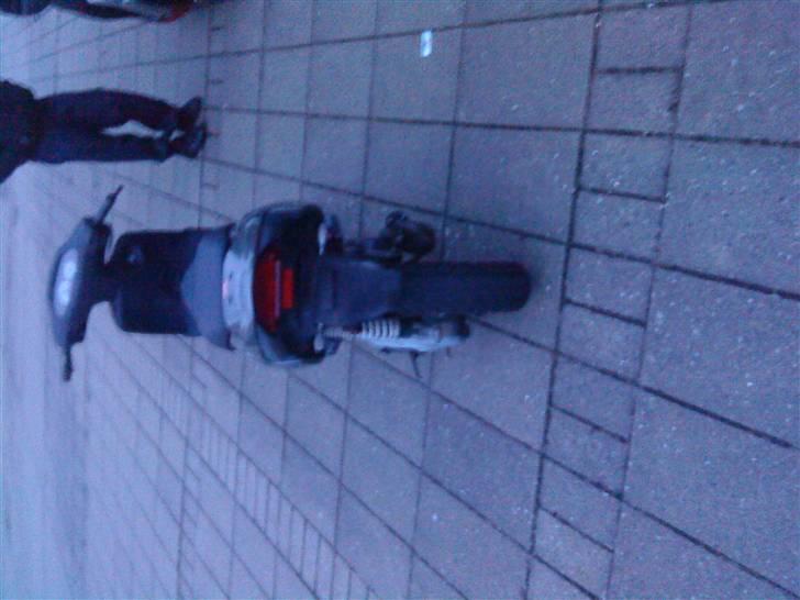 Aprilia rally billede 6