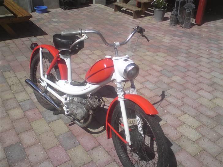 Sachs   billede 14