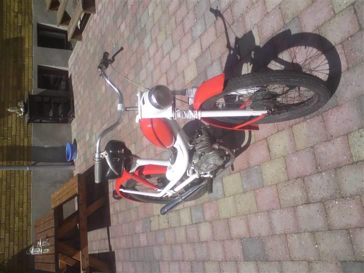 Sachs   billede 15