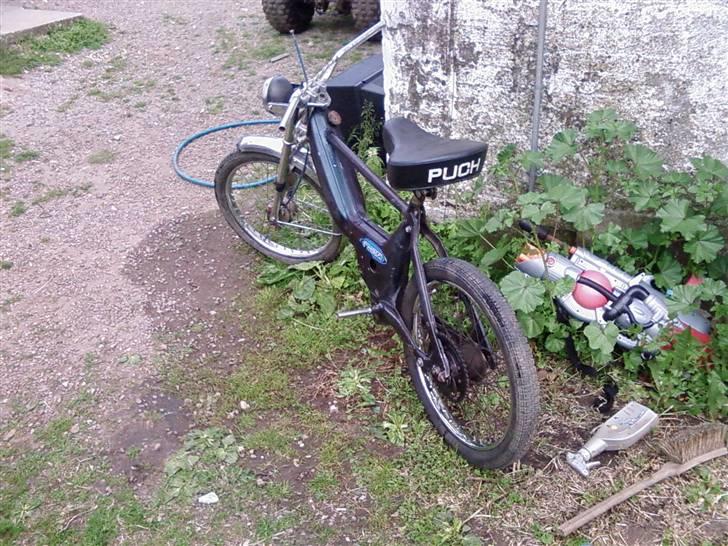 Puch maxi P billede 1