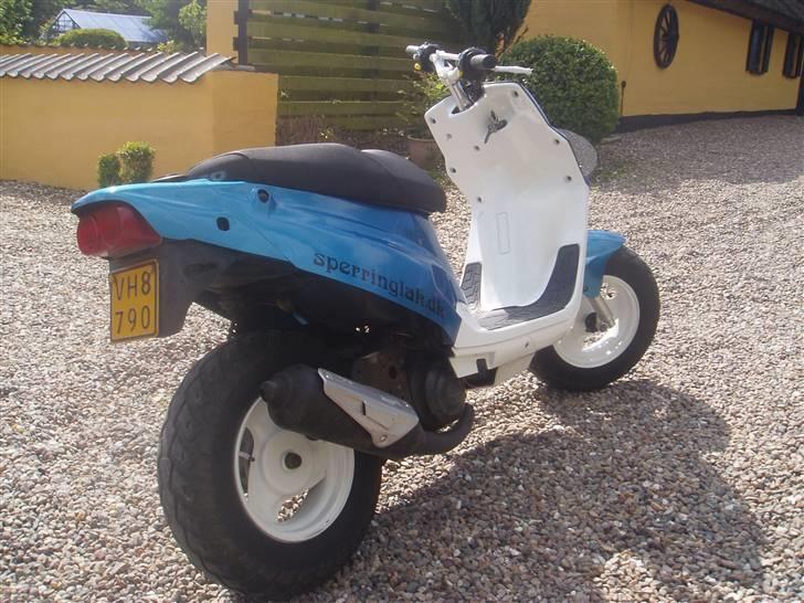 PGO Hot 50 billede 4