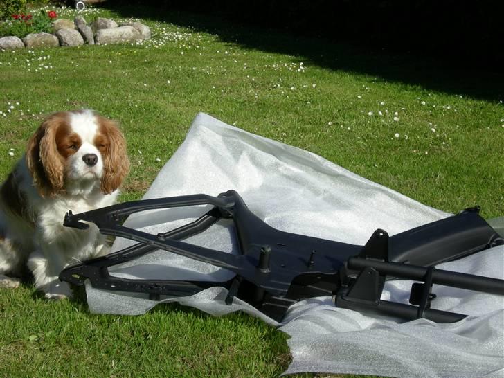 Puch maxi k billede 6