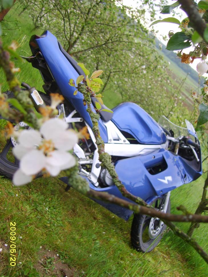 Yamaha Tzr  solgt billede 14