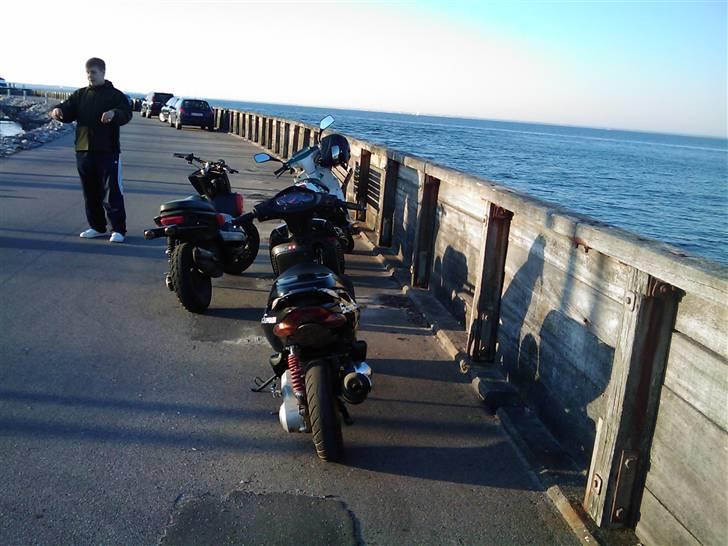 Aprilia sonic gp (SOLGT) billede 8