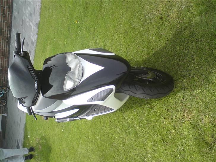 Honda SFX.   SOLGT !!! billede 1