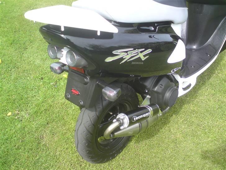 Honda SFX.   SOLGT !!! billede 4