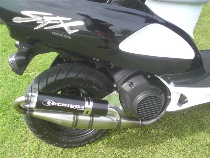 Honda SFX.   SOLGT !!! billede 5