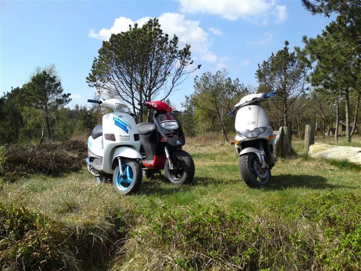 Piaggio Zip muggen stel billede 3