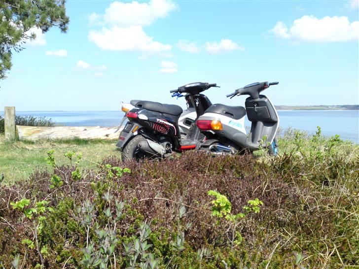 Piaggio Zip muggen stel billede 4