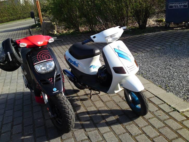 Piaggio Zip muggen stel billede 5