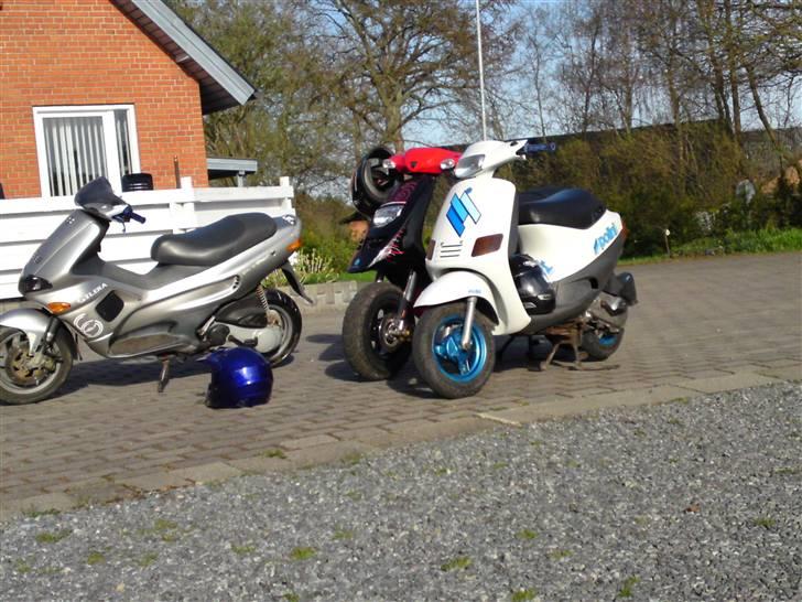 Piaggio Zip muggen stel billede 6