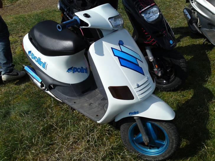 Piaggio Zip muggen stel - EFTER billede 7