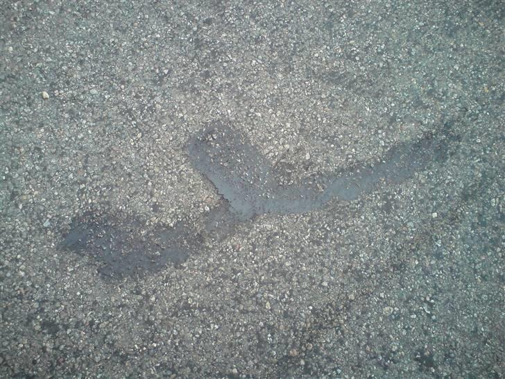 Puch Magnum X ac - ja, magnum´en kan godt brænde dæk a på tørt asfalt ;D billede 7