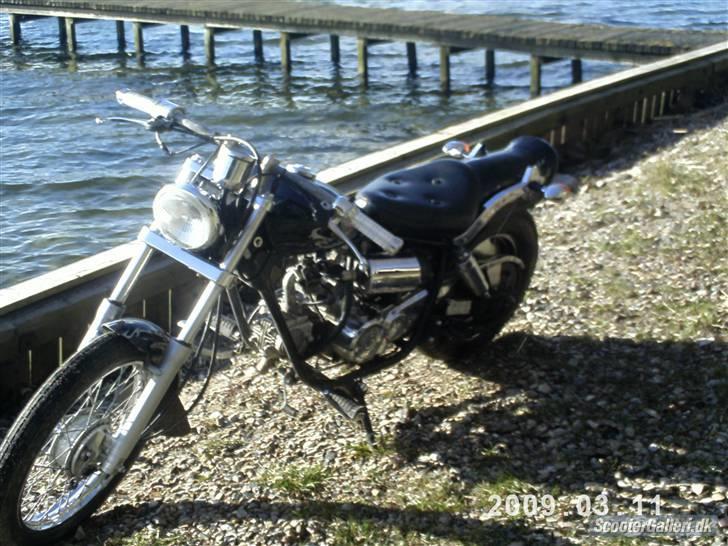 Regal Raptor **solgt** billede 1