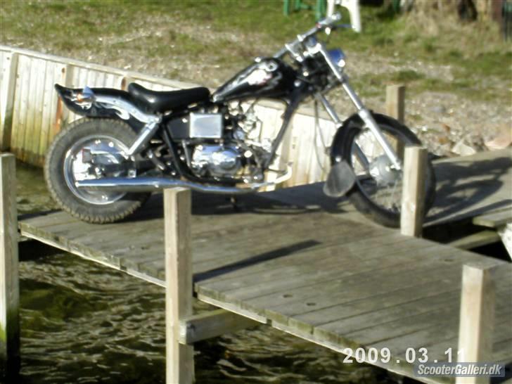 Regal Raptor **solgt** billede 2