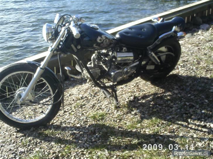 Regal Raptor **solgt** billede 3