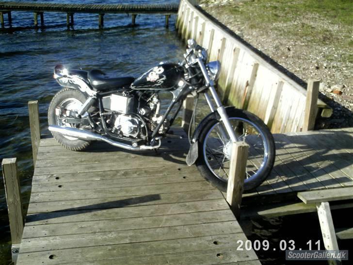 Regal Raptor **solgt** billede 4