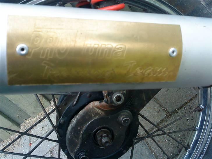 Yamaha Sting #SOLGT# billede 15