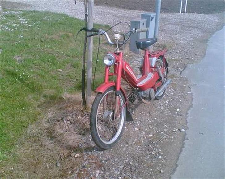 Veteraner Bonnie Solgt billede 1