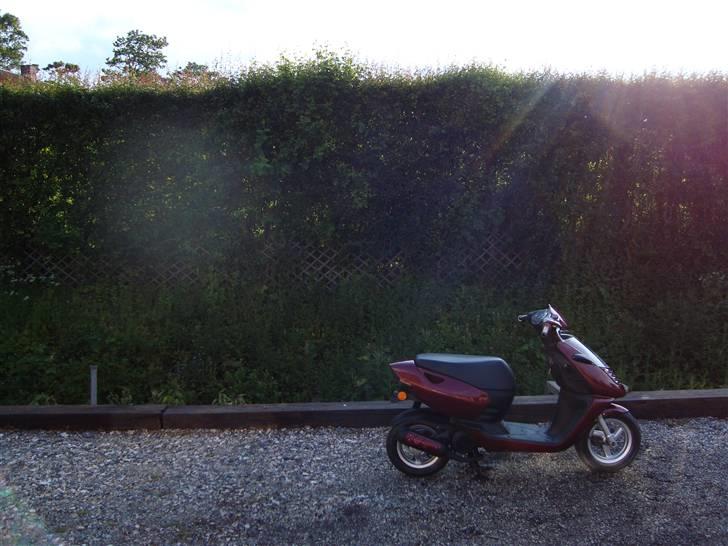 Aprilia Sonic billede 10