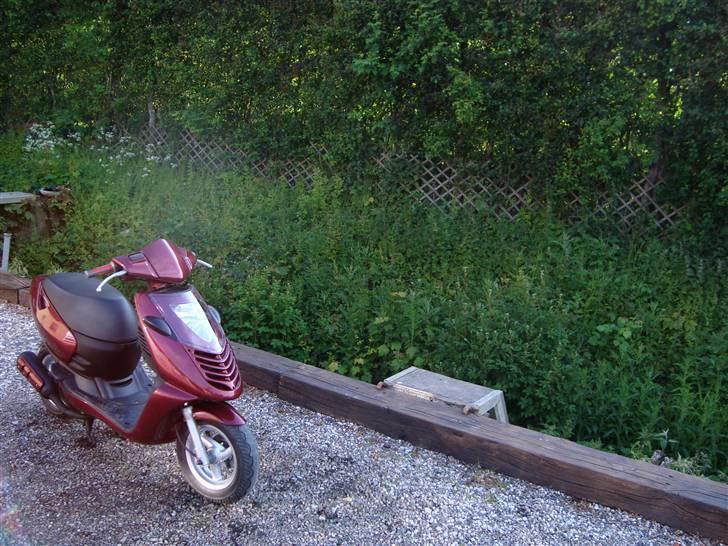 Aprilia Sonic billede 13