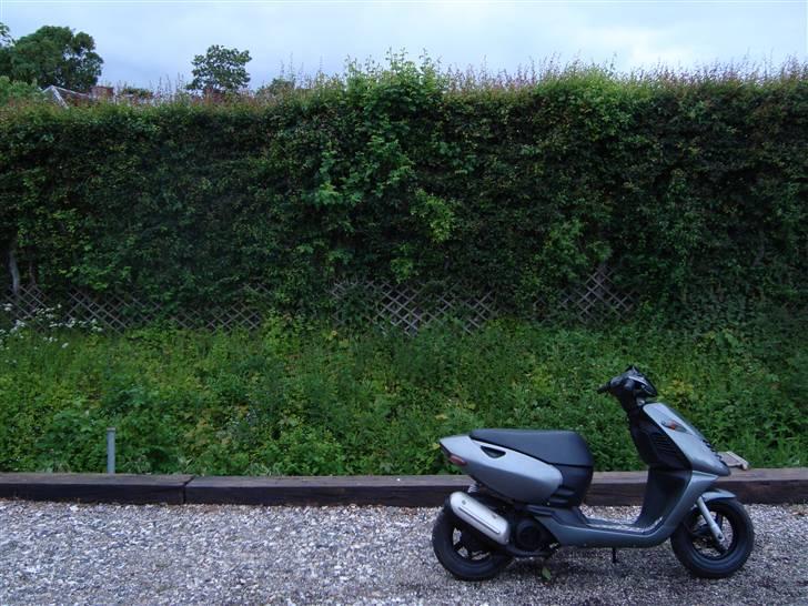 Aprilia Sonic billede 9