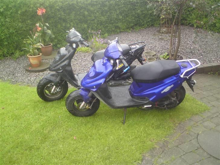 PGO hot 50 solgt billede 5