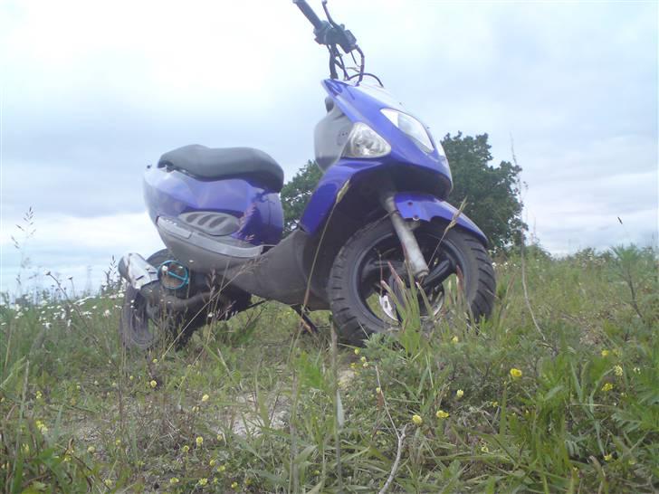 PGO Dr. Big Byttet billede 5