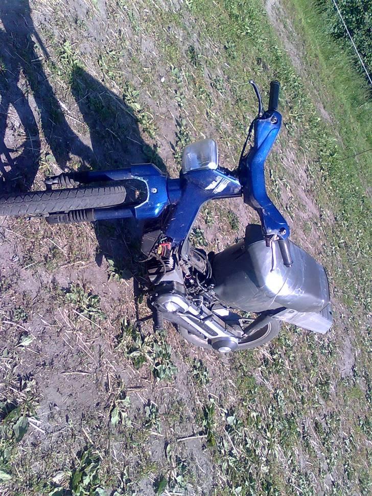 Honda wallaroo solgt billede 2