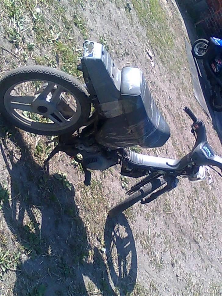 Honda wallaroo solgt billede 4