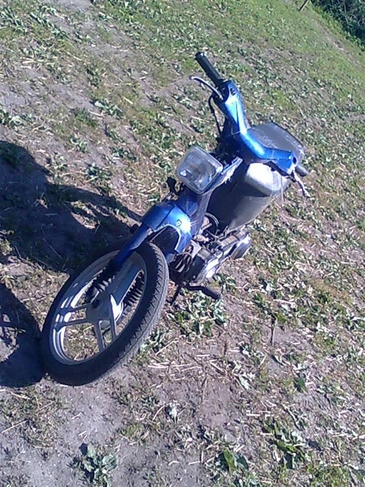 Honda wallaroo solgt billede 5