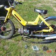 Puch k ( SOLGT )