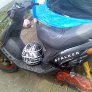 Gilera stalker