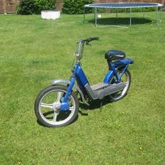 Piaggio caio ( spritter knallert)