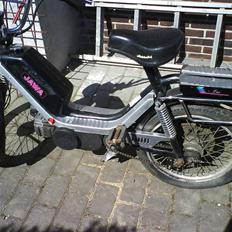 Yamaha JAWA ¤ R.I.P ¤
