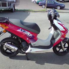 Honda x8rs