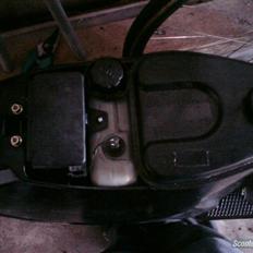 Honda melody [SOLGT]