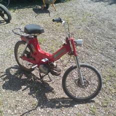 Puch Maxi SOLGT