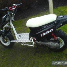 PGO hot 50 [Byttet for sonic]