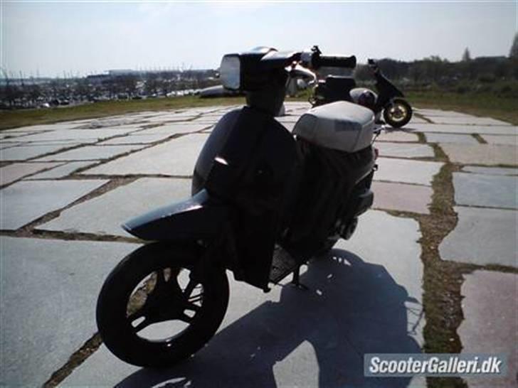 Honda Melody(SOLGT) billede 5