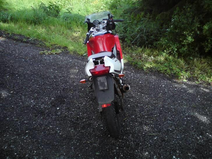 Yamaha TZR 50 LC DD [byttet] billede 2