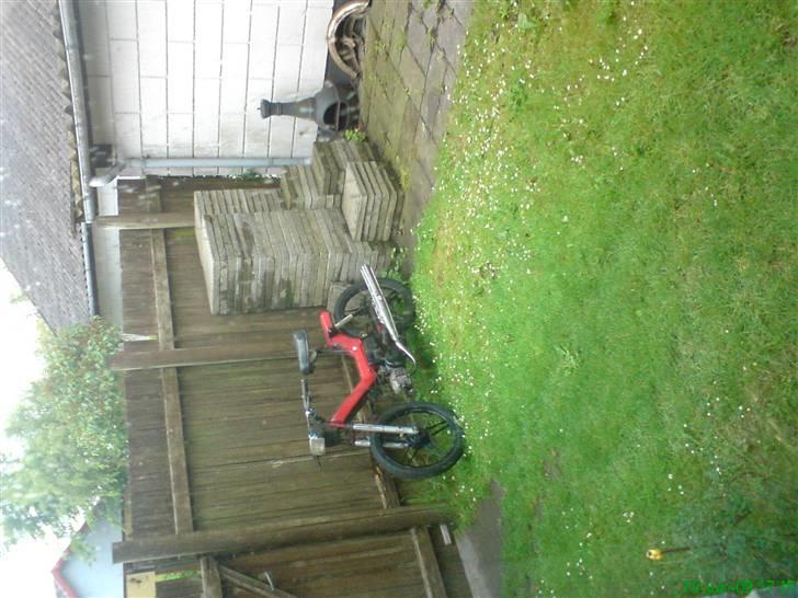 Puch Maxi p1 - (Byttet) billede 19