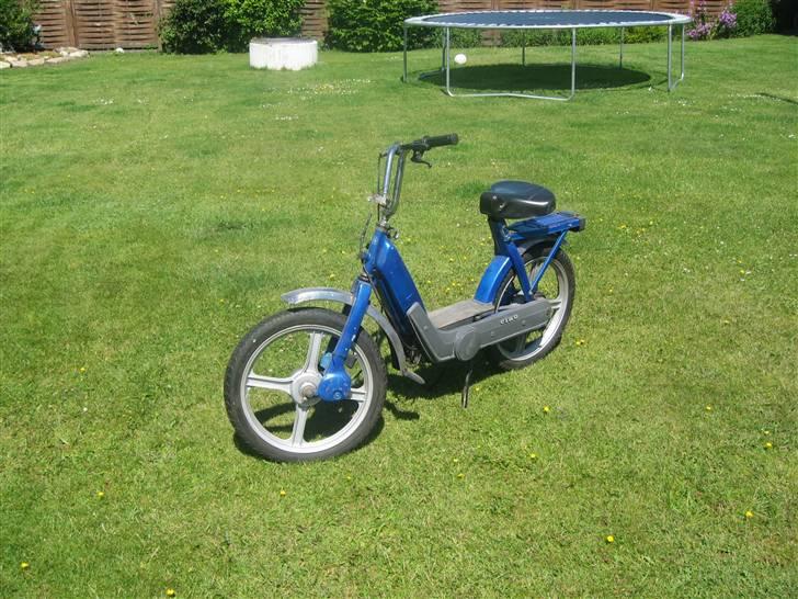 Piaggio caio ( spritter knallert) billede 1