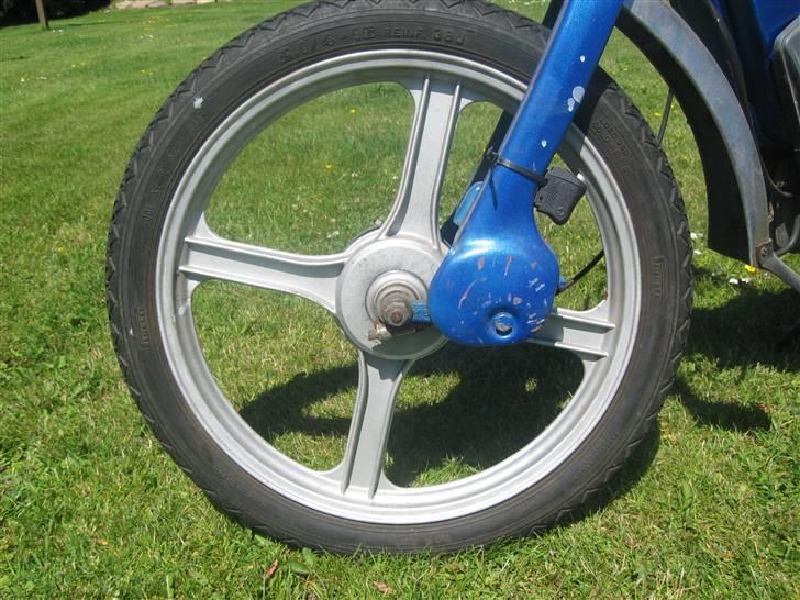 Piaggio caio ( spritter knallert) billede 5