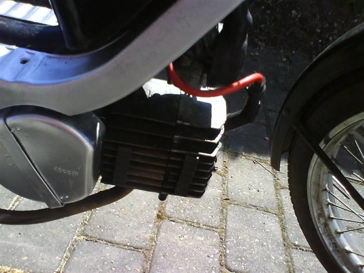 Yamaha JAWA ¤ R.I.P ¤ billede 7