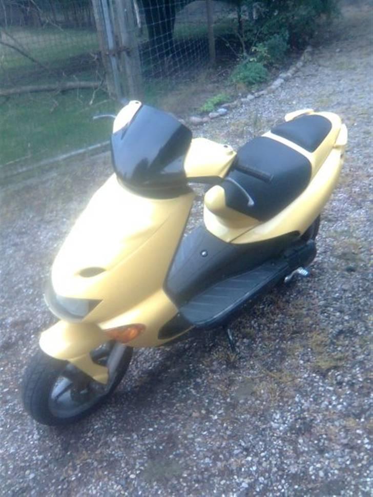 Siamoto Birdie solgt billede 7